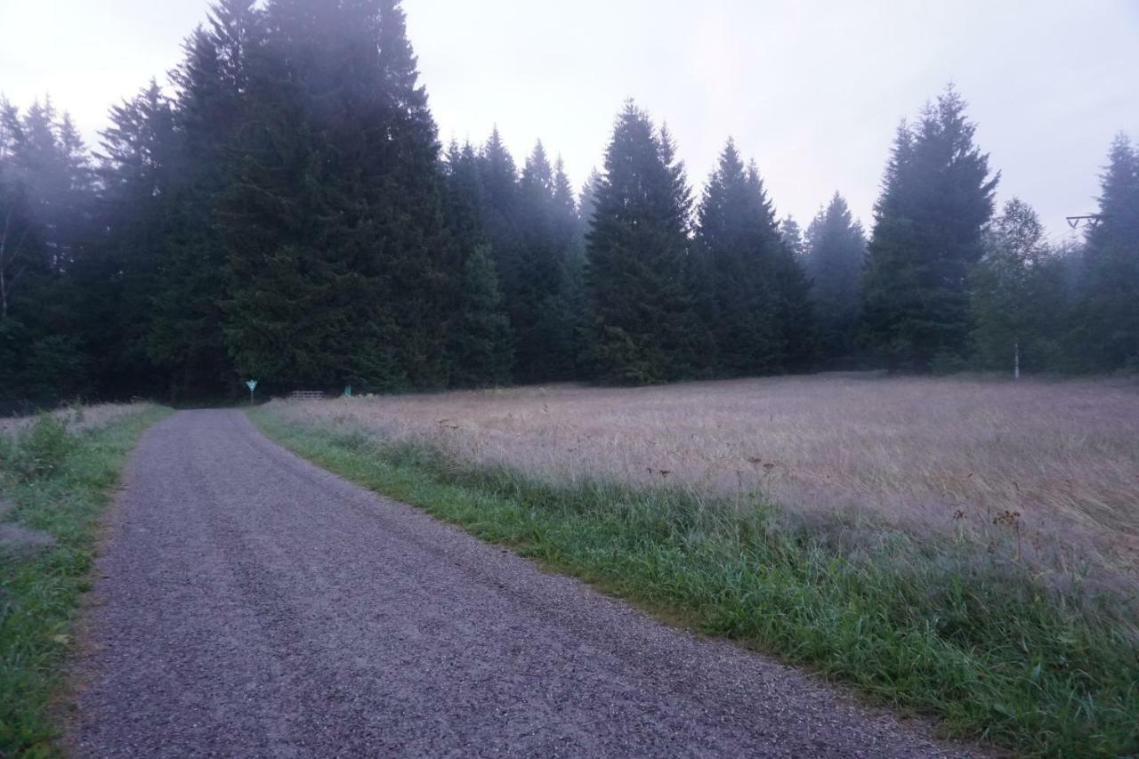 Ferienwohnung Neuwelt Hinterzarten Extérieur photo
